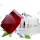 Prizma Premium Водоочиститель